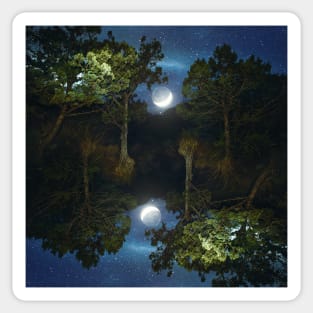 Moonset in coniferous forest Sticker